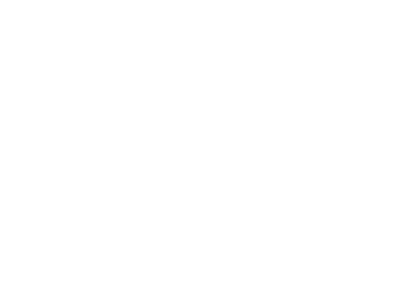 Partners | Janus Henderson