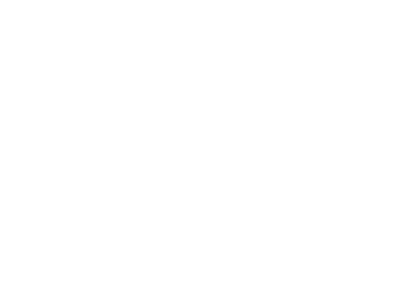 Partners | Matillion