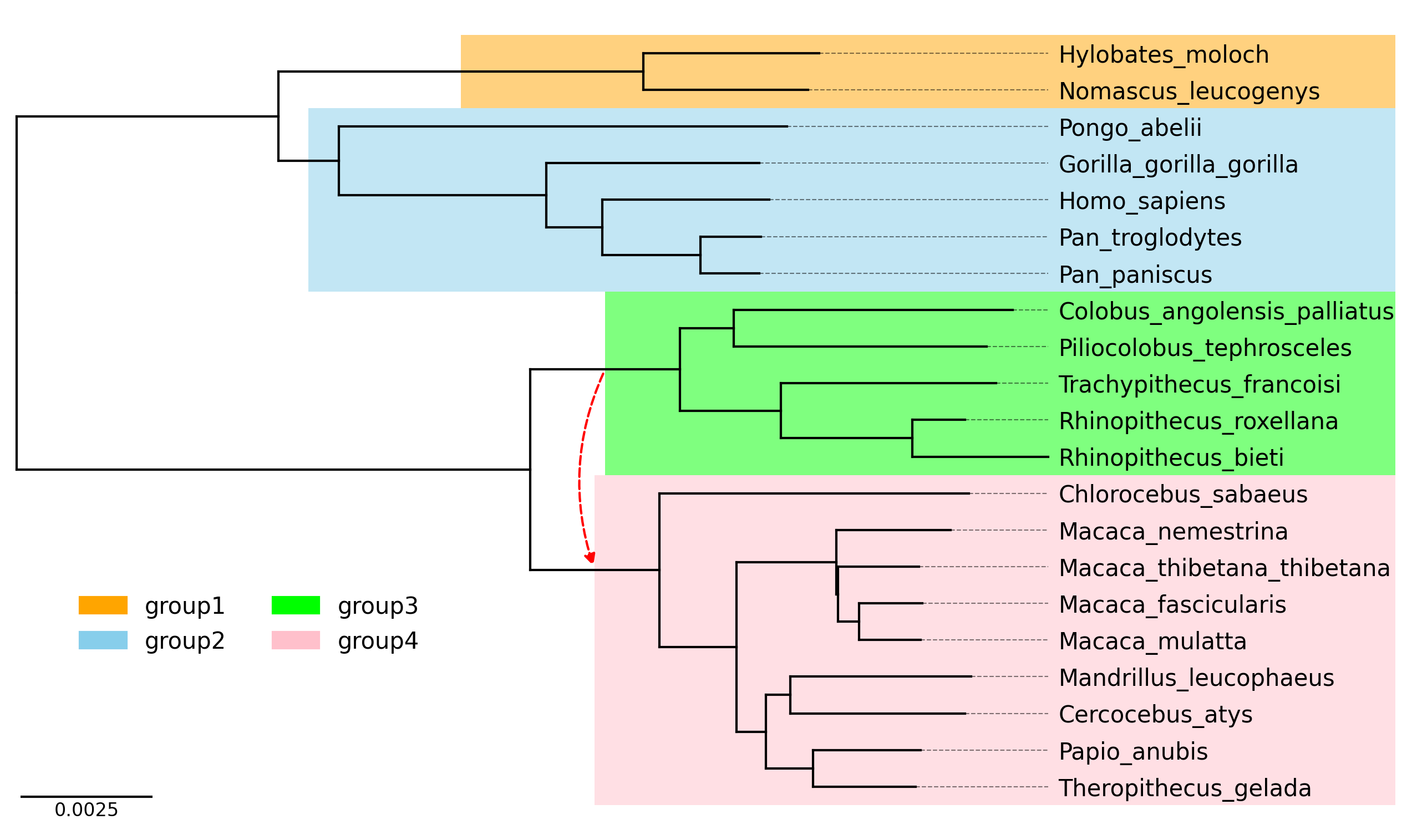 Edge Cases: Handling Ragged and Unbalanced Hierarchies (Part 5 of 6) | phylogeny